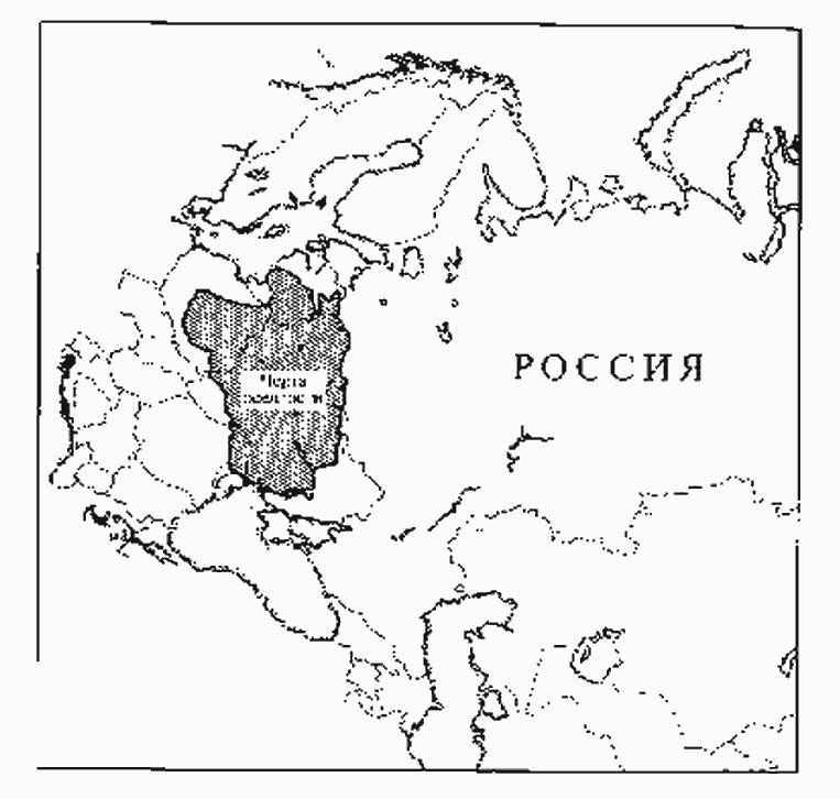 Золотая страна. Нью-Йорк, 1903. Дневник американской девочки Зиппоры Фельдман