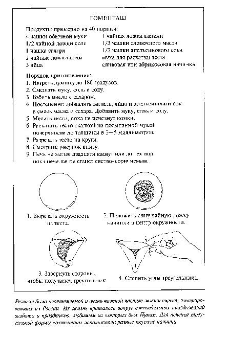 Золотая страна. Нью-Йорк, 1903. Дневник американской девочки Зиппоры Фельдман