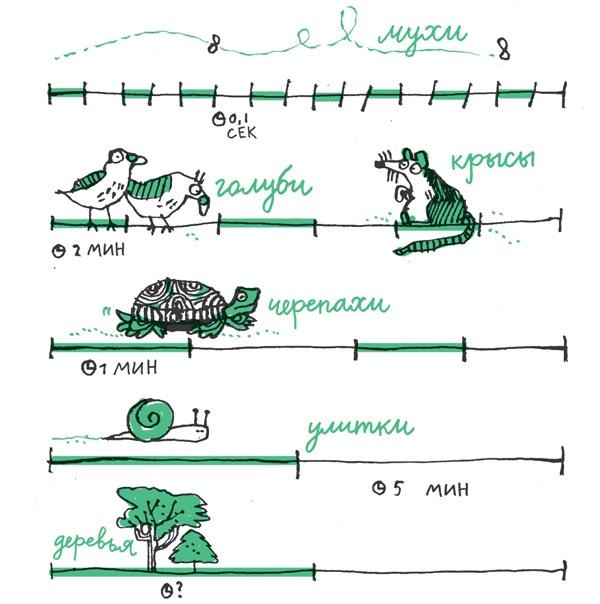 Удивительные приключения запредельно невероятной, исключительно неповторимой, потрясающей, ни на кого не похожей Маулины Шмитт. Часть 2. В ожидании чуда