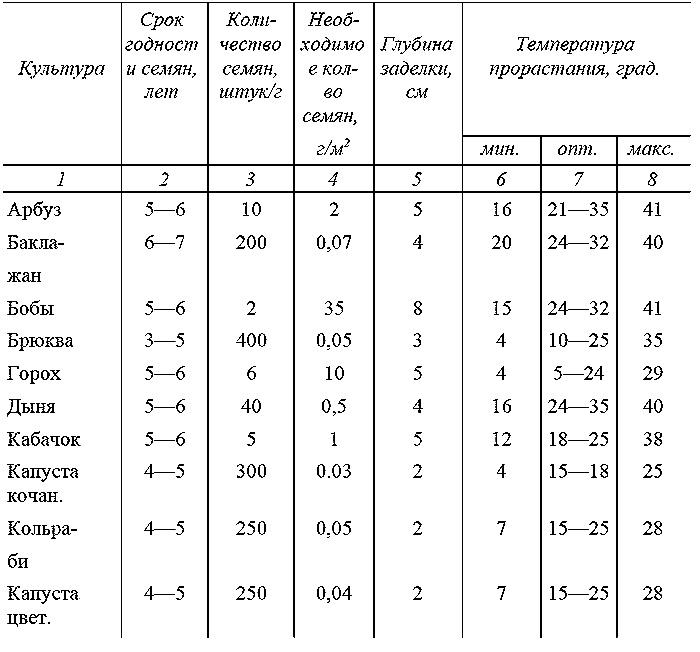 Как посадишь, так и поешь. Агротехника на шести сотках