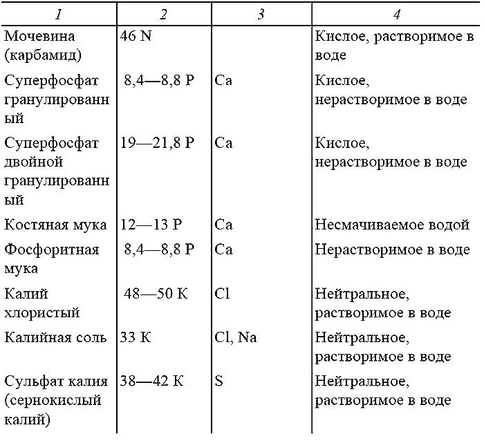 Как посадишь, так и поешь. Агротехника на шести сотках