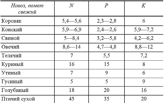 Как посадишь, так и поешь. Агротехника на шести сотках