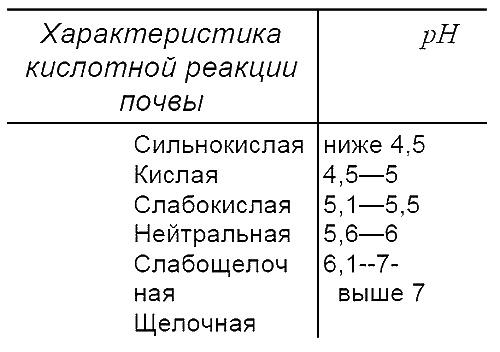 Пособие для разумно ленивых садоводов