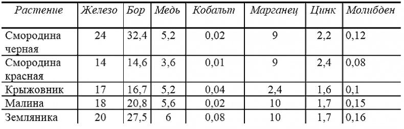 Годовой цикл работ в саду и огороде