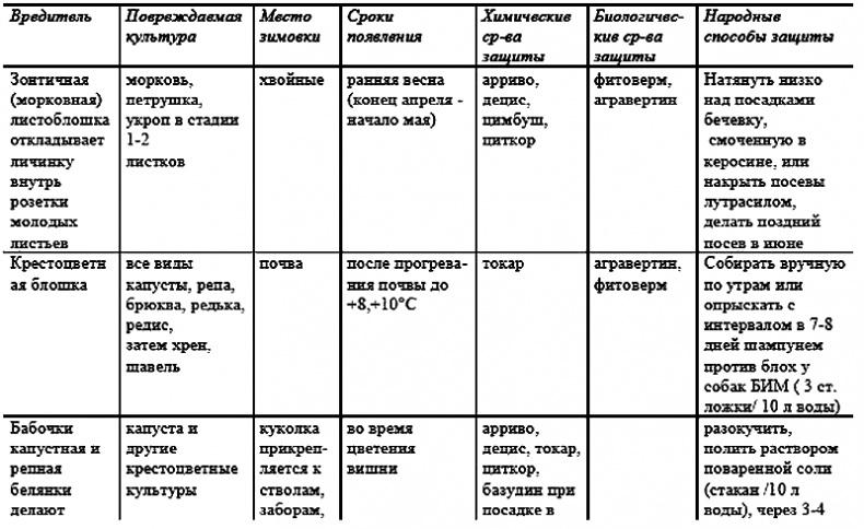 Годовой цикл работ в саду и огороде