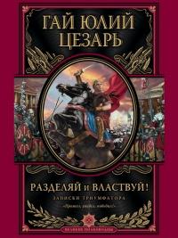 Книга « Разделяй и властвуй. Записки триумфатора » - читать онлайн