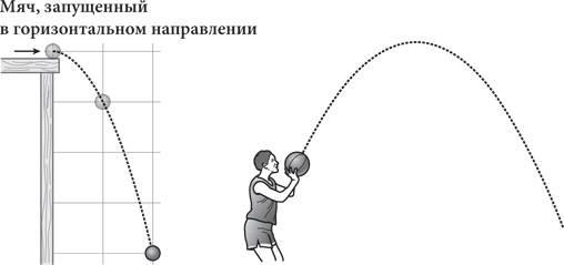 Красота в квадрате. Как цифры отражают жизнь и жизнь отражает цифры