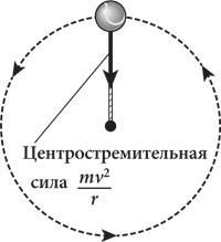 Красота в квадрате. Как цифры отражают жизнь и жизнь отражает цифры