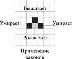 Красота в квадрате. Как цифры отражают жизнь и жизнь отражает цифры