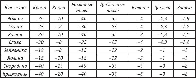 Большая энциклопедия садовода-огородника от А до Я