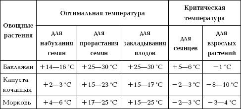 Отличный урожай круглый год