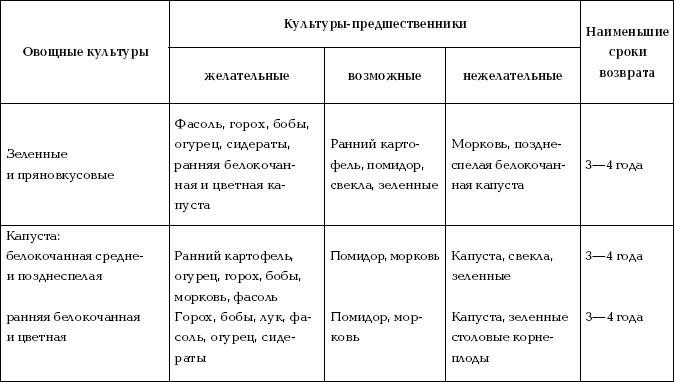 Отличный урожай круглый год