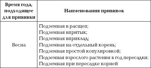 Ваш домашний виноградник