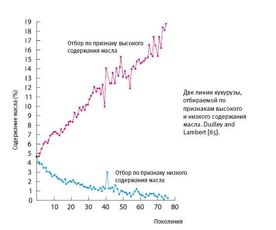 Рассказ предка. Паломничество к истокам жизни