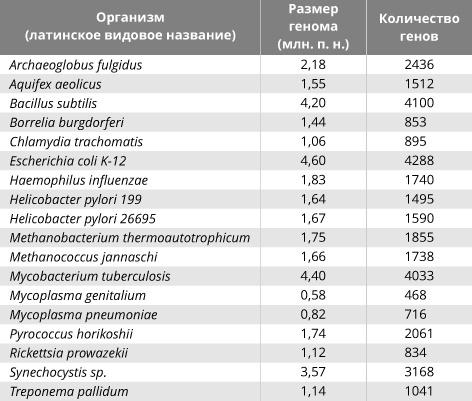 Геном человека: Энциклопедия, написанная четырьмя буквами