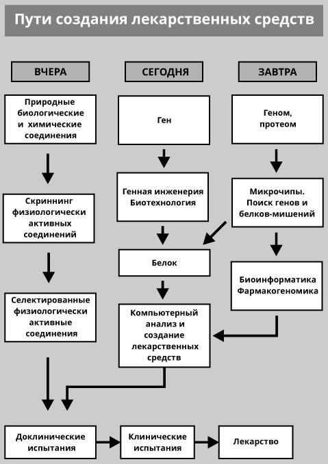 Геном человека: Энциклопедия, написанная четырьмя буквами