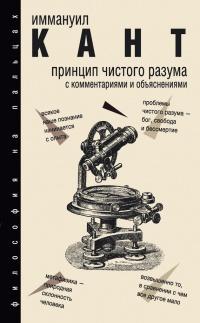 Книга « Принцип чистого разума с комментариями и объяснениями » - читать онлайн