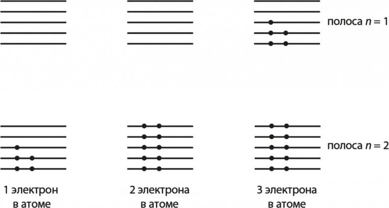 Вселенная. Курс выживания среди черных дыр, временных парадоксов, квантовой неопределенности