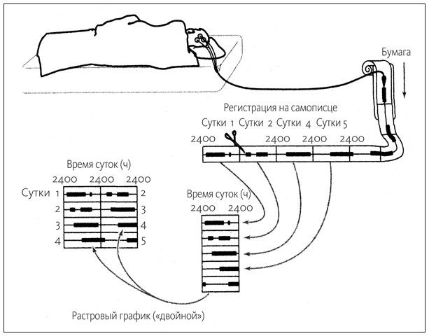 Ритм вселенной. Как из хаоса возникает порядок