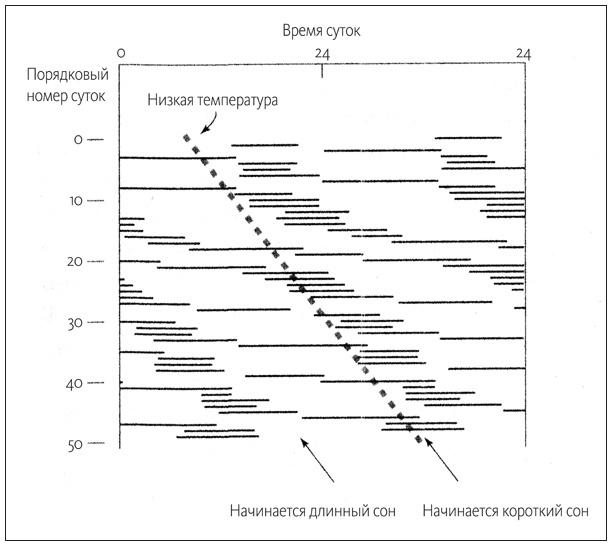 Ритм вселенной. Как из хаоса возникает порядок