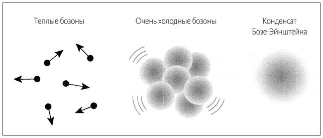 Ритм вселенной. Как из хаоса возникает порядок