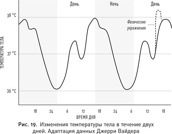 Мой продуктивный мозг. Как я проверила на себе лучшие методики саморазвития и что из этого вышло