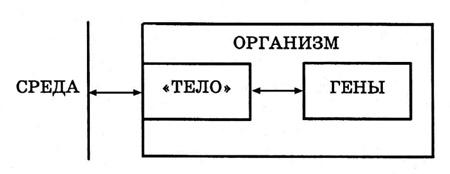 Энциклопедия Амосова. Алгоритм здоровья