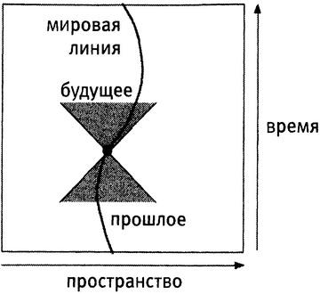 Истина и красота. Всемирная история симметрии