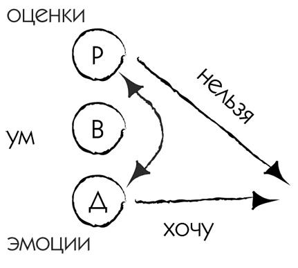 МЖ. Как научиться жить душа в душу с тем, кого любишь