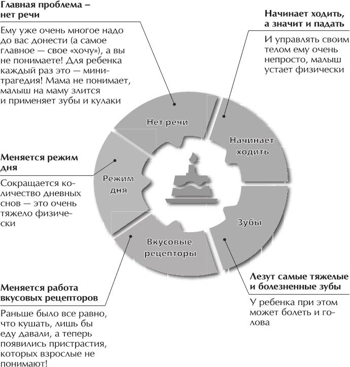 Главная книга о воспитании. Как здорово быть с детьми