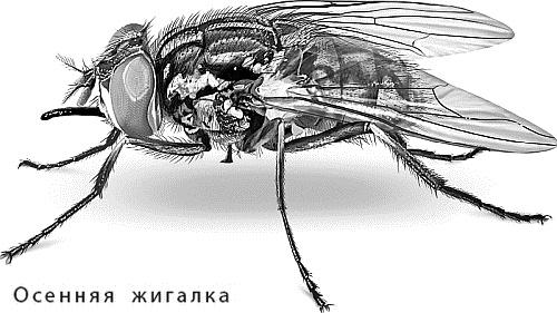 Лесная сказка. С вопросами и ответами для почемучек