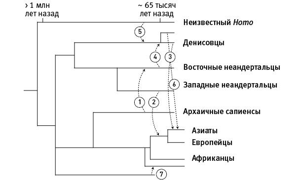 Перспективы отбора