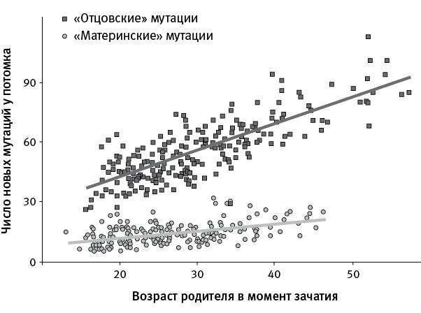 Перспективы отбора