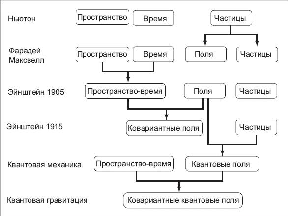 Нереальная реальность. Путешествие по квантовой петле