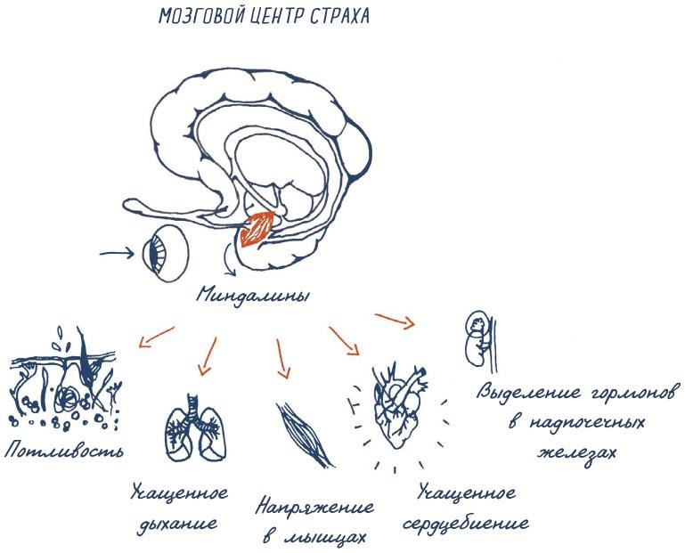 В моей голове