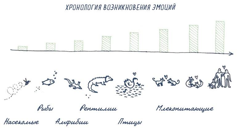 В моей голове