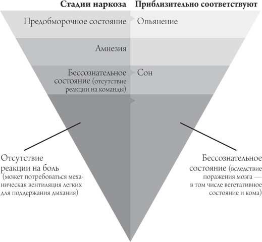 Мозг и сознание