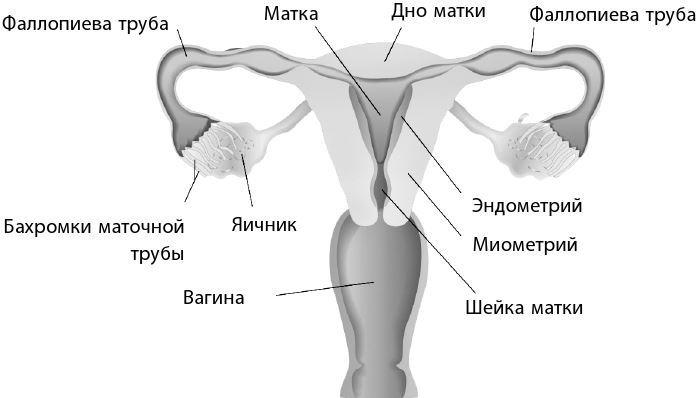 Взламывая биологию