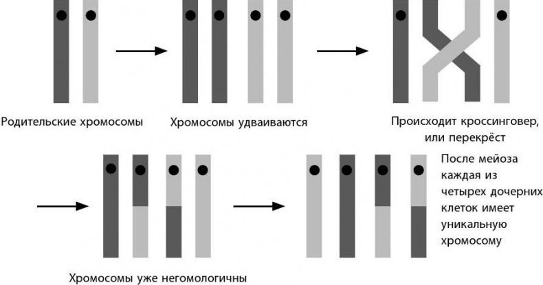 Взламывая биологию