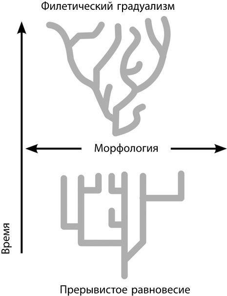 Взламывая биологию