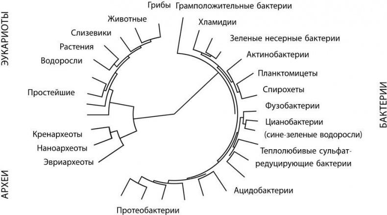 Взламывая биологию