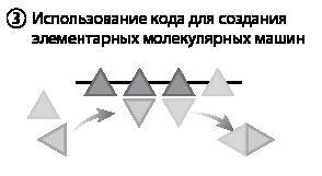 Эволюция. От Дарвина до современных теорий