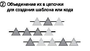 Эволюция. От Дарвина до современных теорий