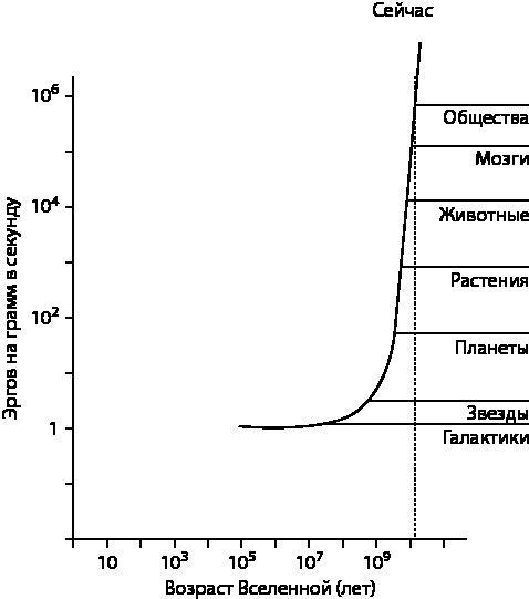 Эволюция. От Дарвина до современных теорий