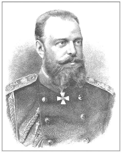 Дневник. 1873–1882. Том 2