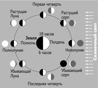 Вселенная в вопросах и ответах