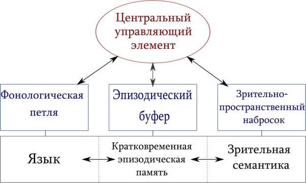 Язык и мозг. Нейробиология раскрывает главную тайну человека