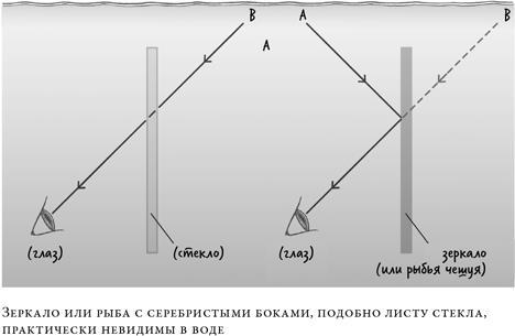 О чём молчат рыбы. Путеводитель по жизни морских обитателей