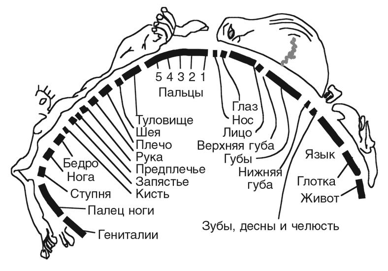 Машина эмоций