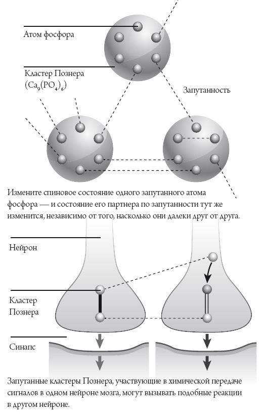 Квантовый мир. Невероятная теория в самом сердце мироздания